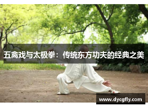 五禽戏与太极拳：传统东方功夫的经典之美